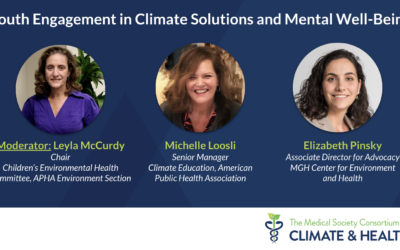Youth Engagement in Climate Solutions and Mental Well-Being